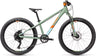 Cube Acid 240 Disc green´n´orange